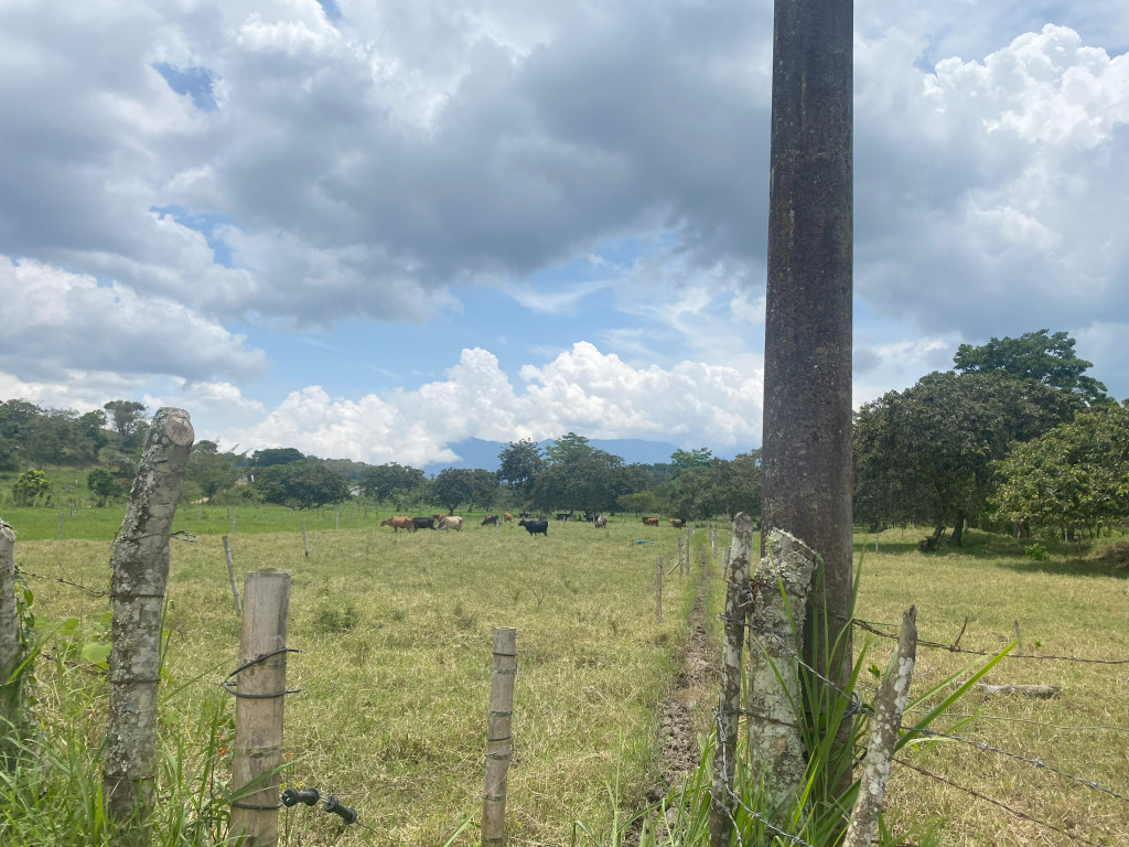 Lote En Venta - Vijes, Vijes