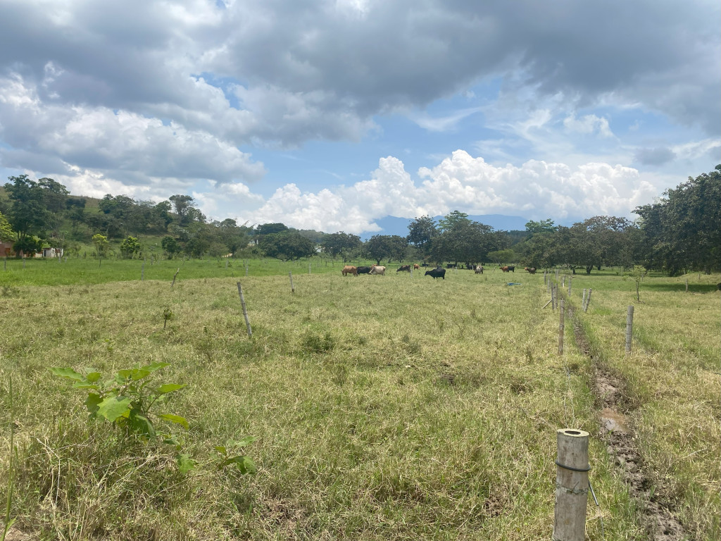 Lote En Venta - Vijes, Vijes