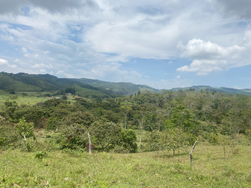 Lote En Venta - Vijes, Vijes