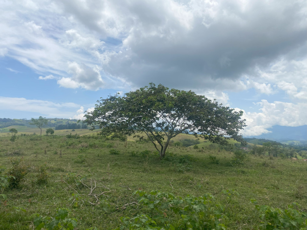 Lote En Venta - Vijes, Vijes