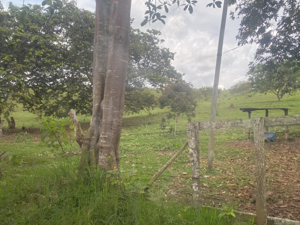 Lote En Venta - Vijes, Vijes