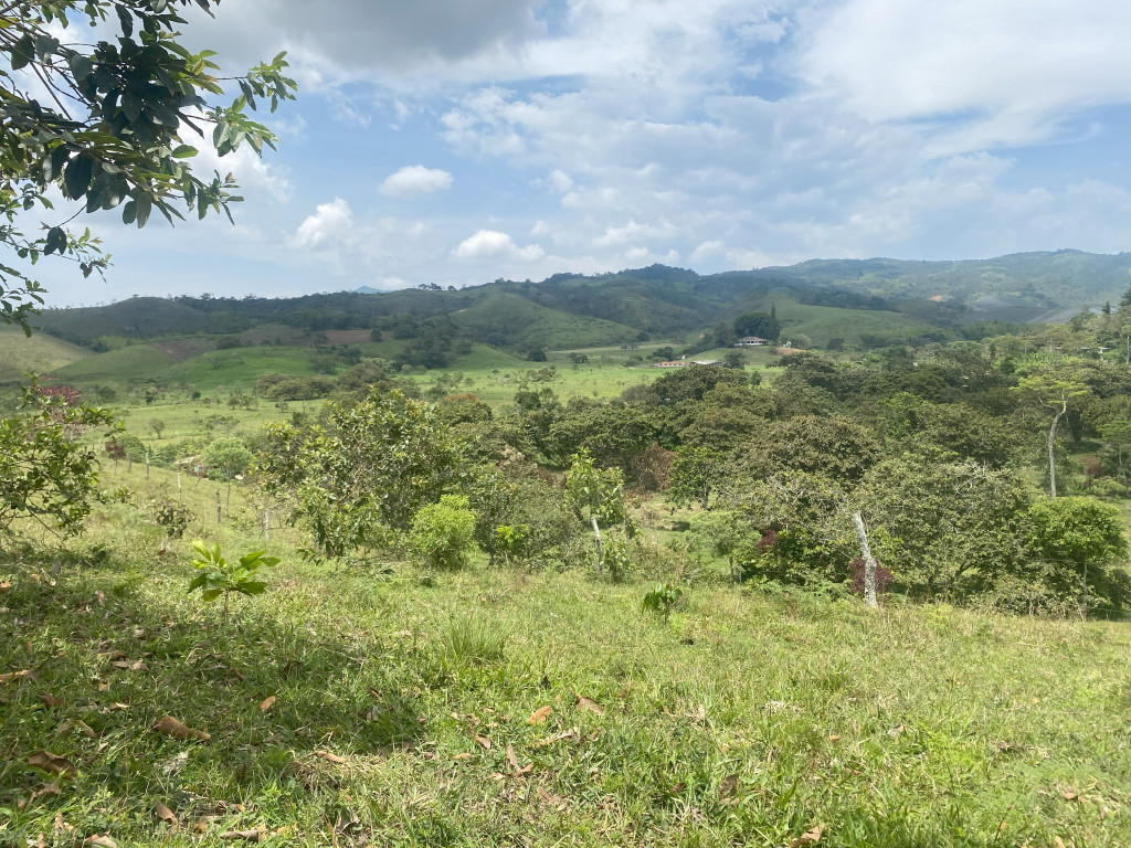 Lote En Venta - Vijes, Vijes