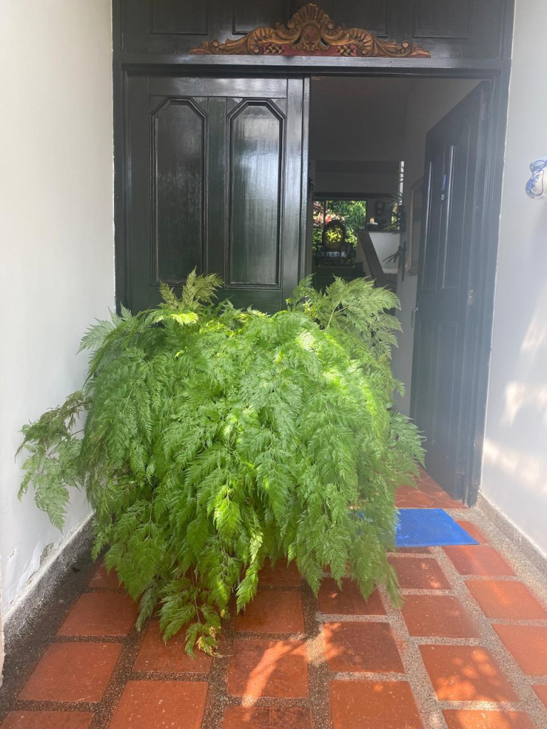 Casa En Venta - La Arboleda, Cali