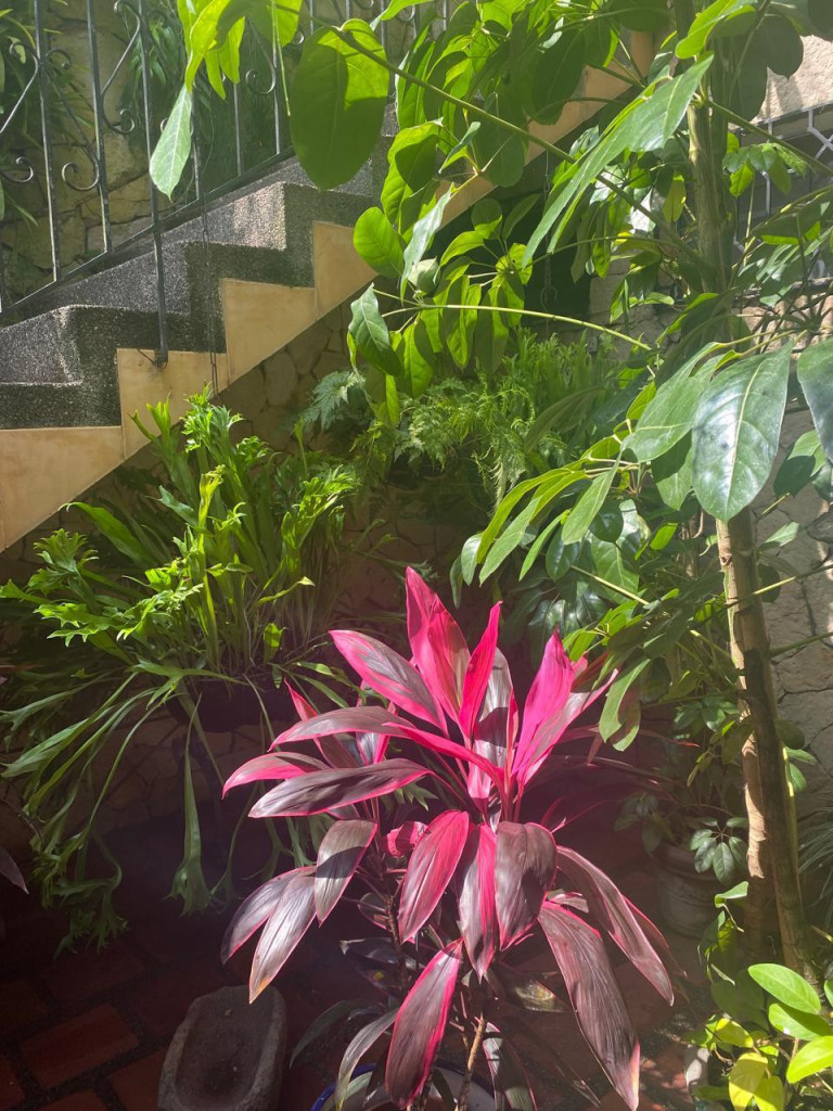 Casa En Venta - La Arboleda, Cali