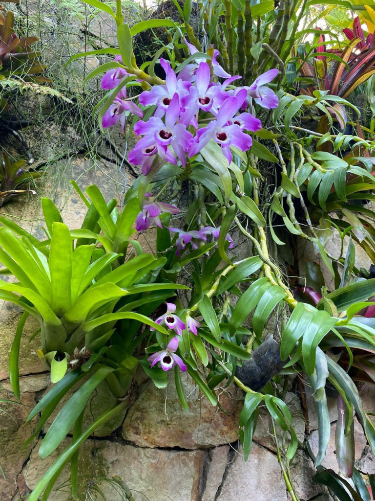 Casa En Venta - La Arboleda, Cali