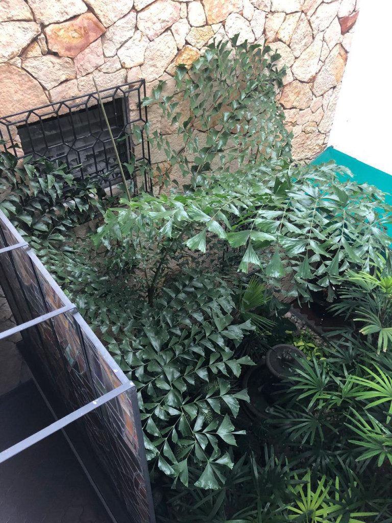 Casa En Venta - La Arboleda, Cali