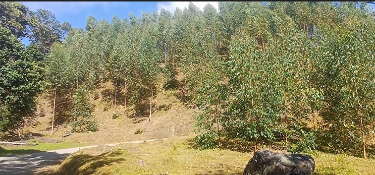 Casa Campestre En Venta - Los Medios, Ginebra