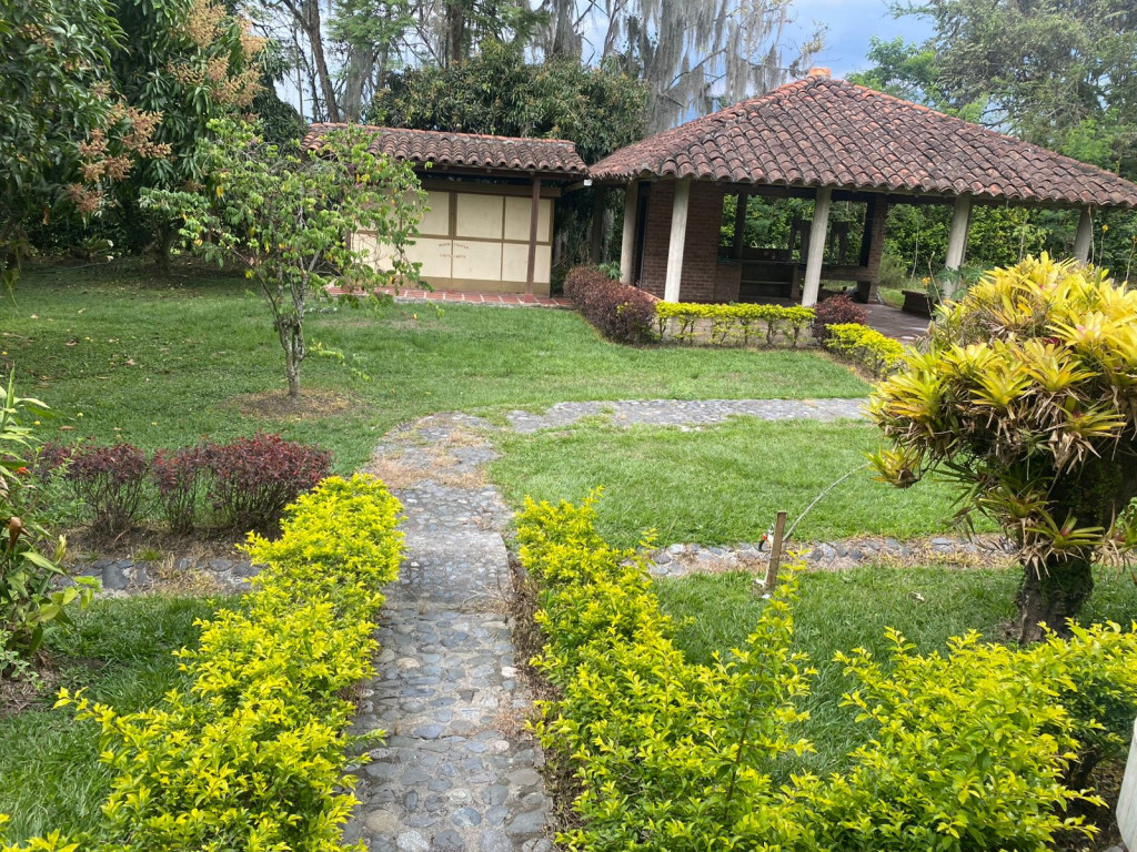 Finca En Venta - Corregimiento De Santa Elena Vereda La Novillera, El Cerrito