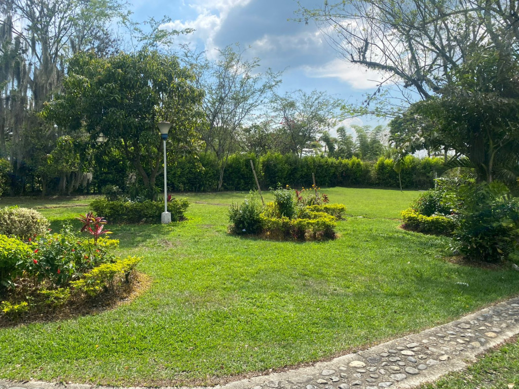 Finca En Venta - Corregimiento De Santa Elena Vereda La Novillera, El Cerrito