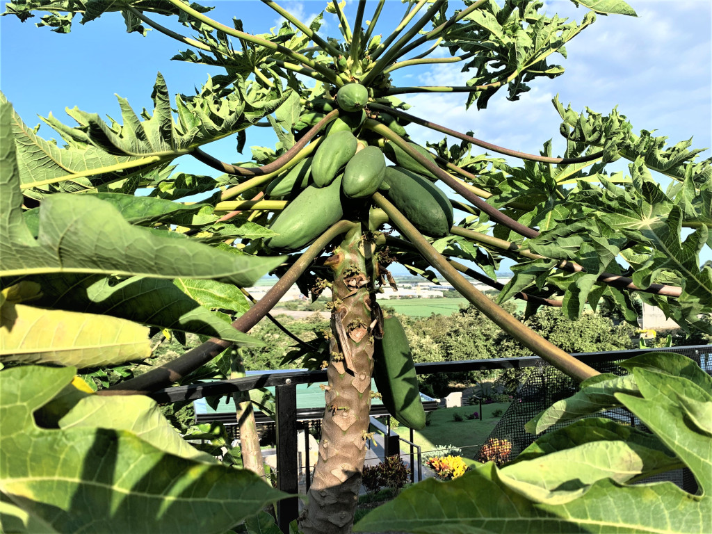 Casa En Venta - Parcelación Campestre Laguna Seca, Yumbo