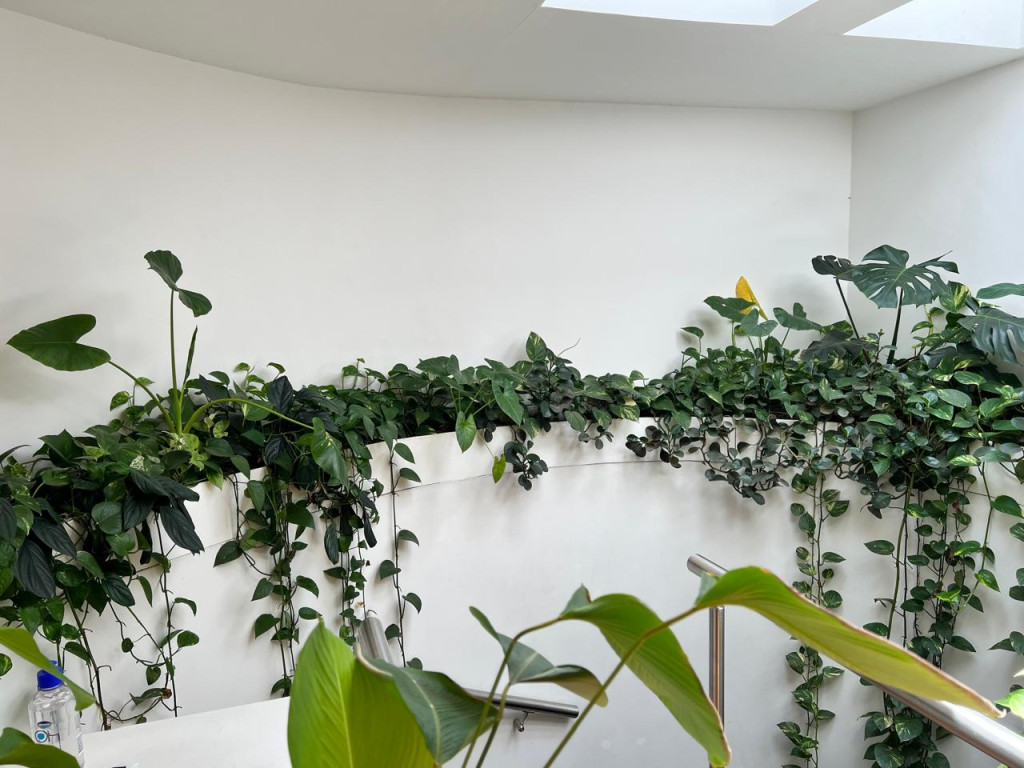 Apartamento En Venta - Santa Teresita, Cali