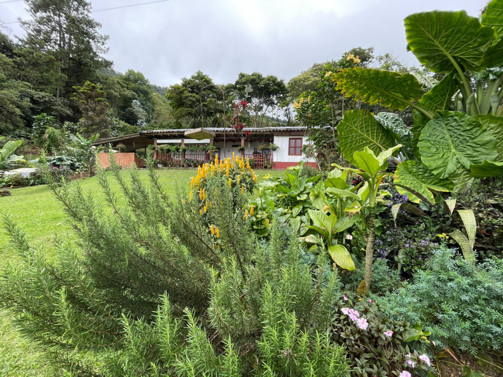 Casa Campestre En Arriendo/Venta - Dapa Parcelación Hacienda Los Morales, Yumbo