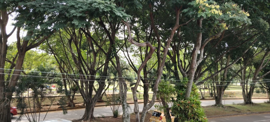 Casa En Arriendo/Venta - Urbanización San Joaquin, Cali