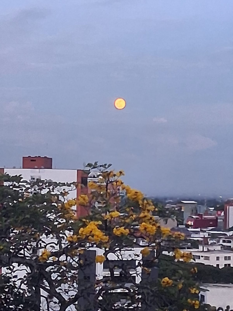 Apartamento En Venta - Santa Mónica Residencial, Cali