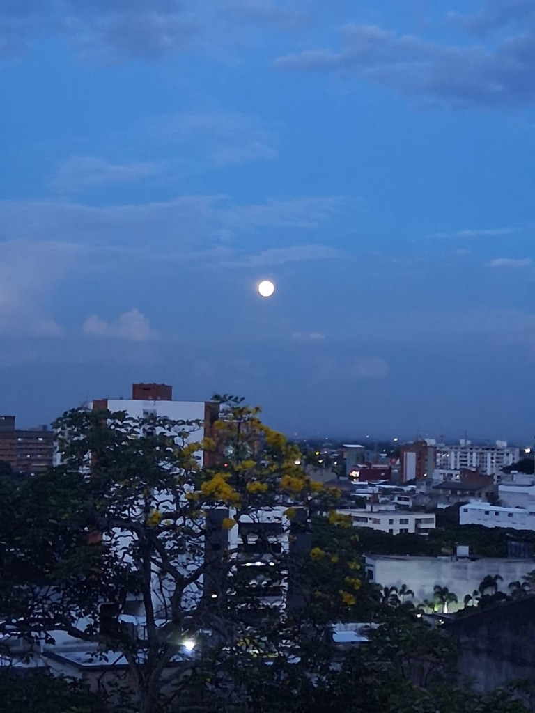 Apartamento En Venta - Santa Mónica Residencial, Cali