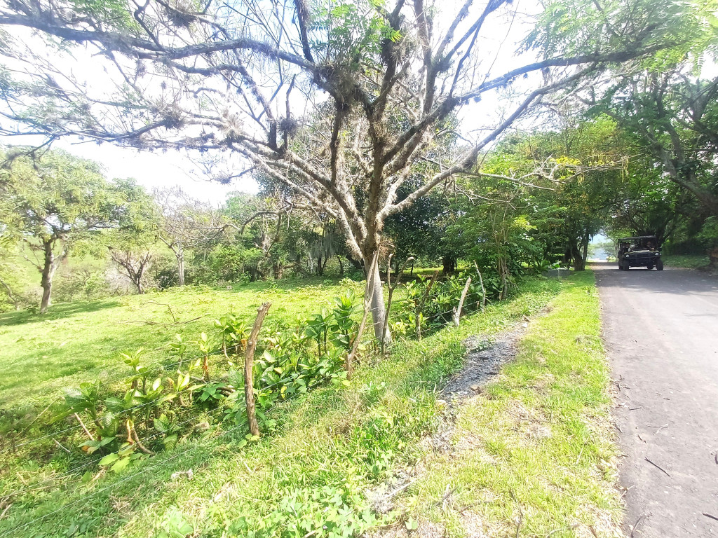 Lote En Venta - Condominio Campestre Lagos De Maracaibo, Palmira