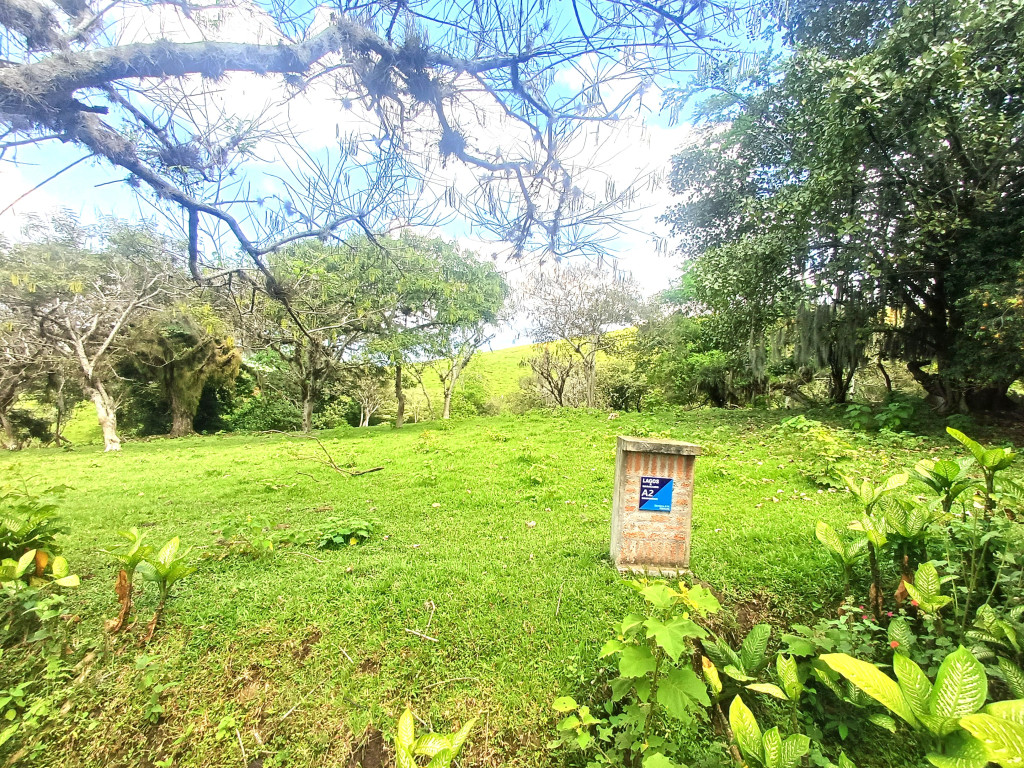 Lote En Venta - Condominio Campestre Lagos De Maracaibo, Palmira