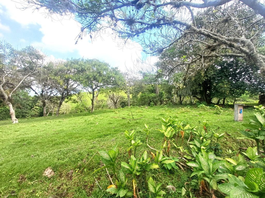 Lote En Venta - Condominio Campestre Lagos De Maracaibo, Palmira