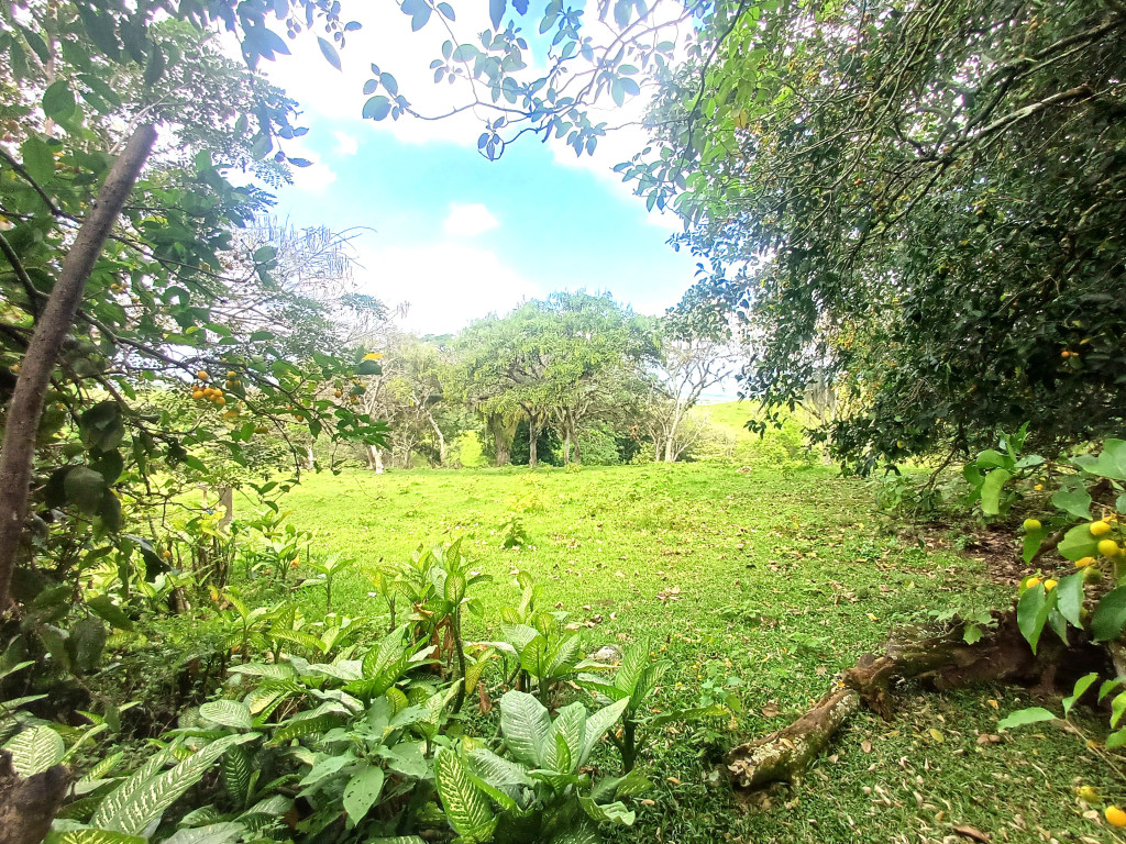 Lote En Venta - Condominio Campestre Lagos De Maracaibo, Palmira