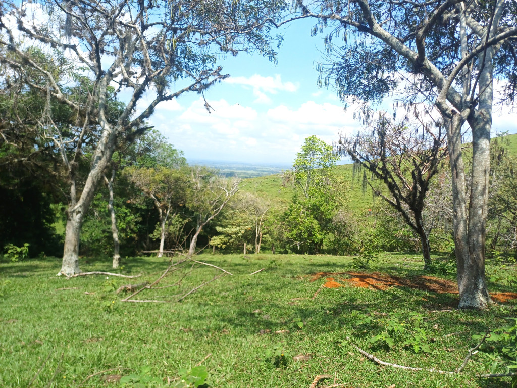 Lote En Venta - Condominio Campestre Lagos De Maracaibo, Palmira