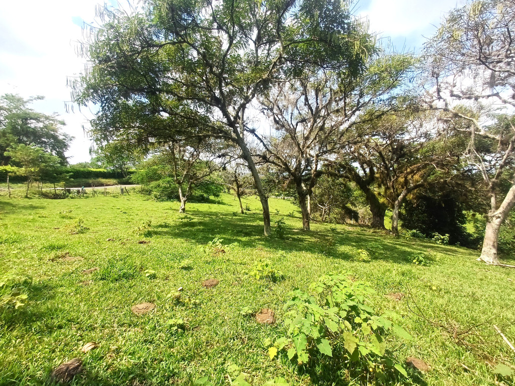 Lote En Venta - Condominio Campestre Lagos De Maracaibo, Palmira