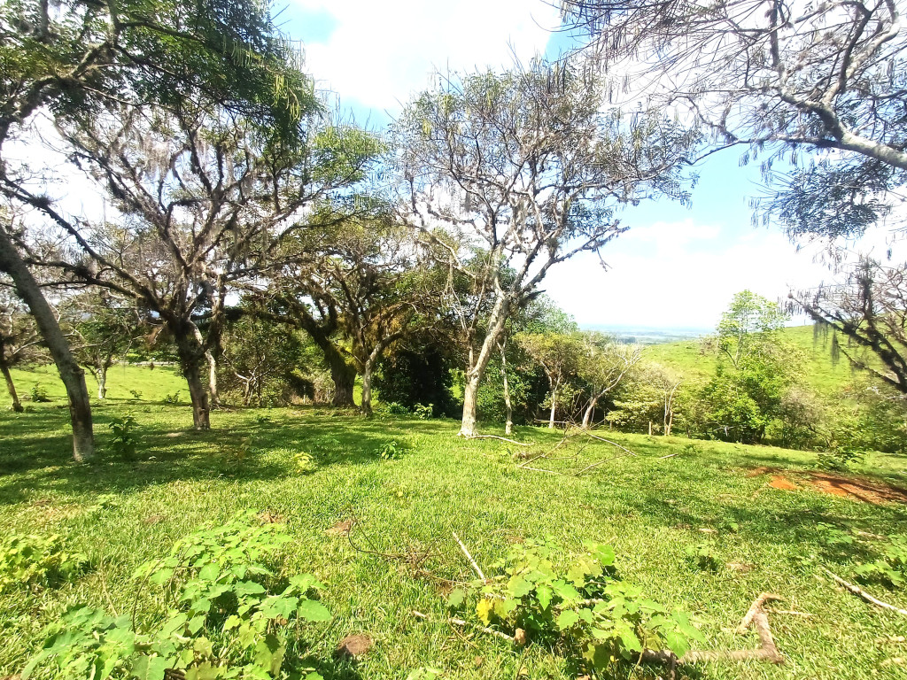 Lote En Venta - Condominio Campestre Lagos De Maracaibo, Palmira