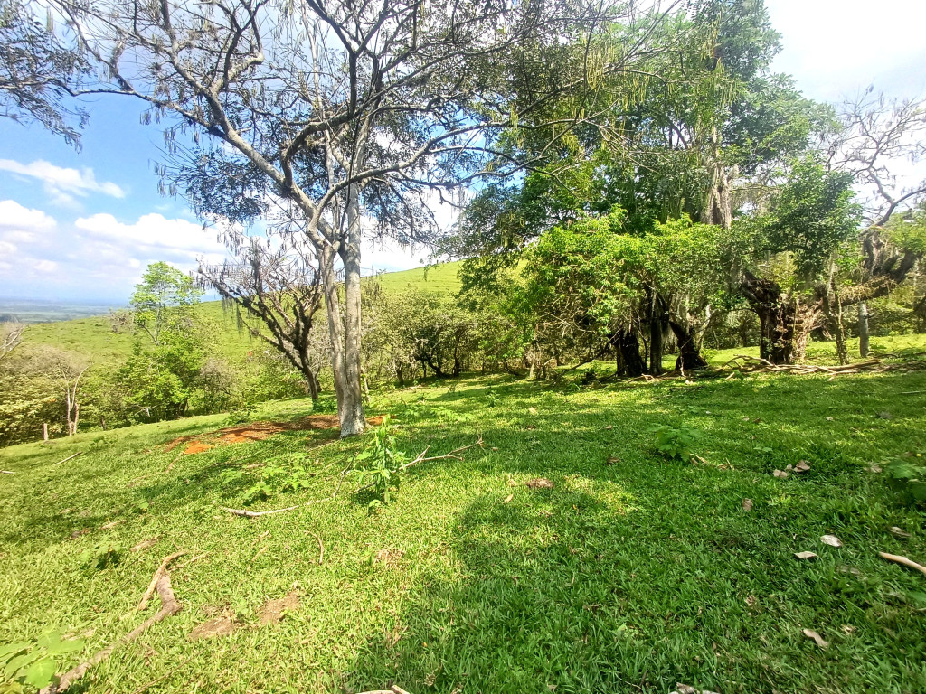 Lote En Venta - Condominio Campestre Lagos De Maracaibo, Palmira
