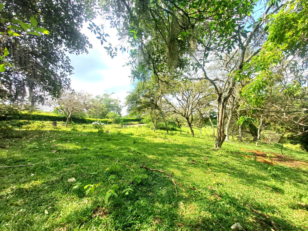 Lote En Venta - Condominio Campestre Lagos De Maracaibo, Palmira