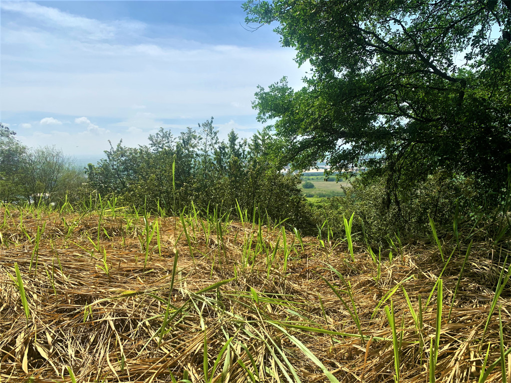 Lote En Venta - Parcelación Campestre Laguna Seca, Yumbo