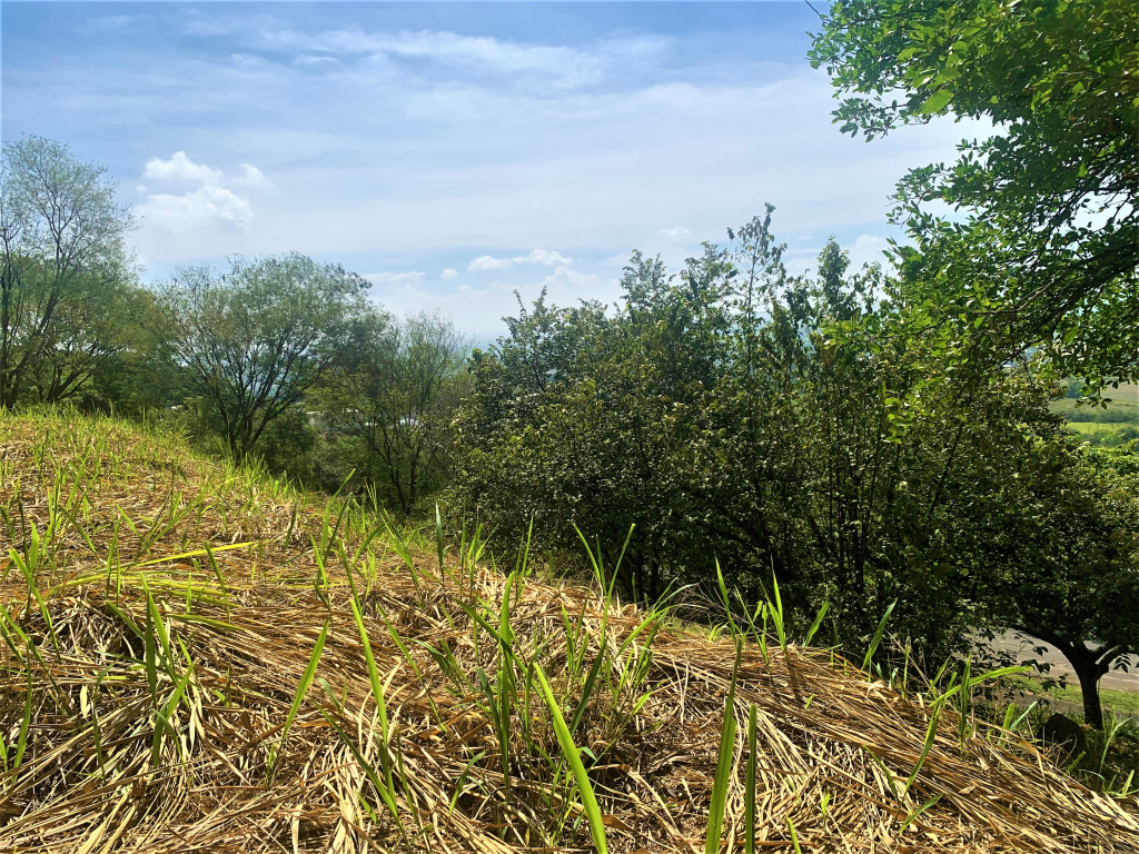 Lote En Venta - Parcelación Campestre Laguna Seca, Yumbo
