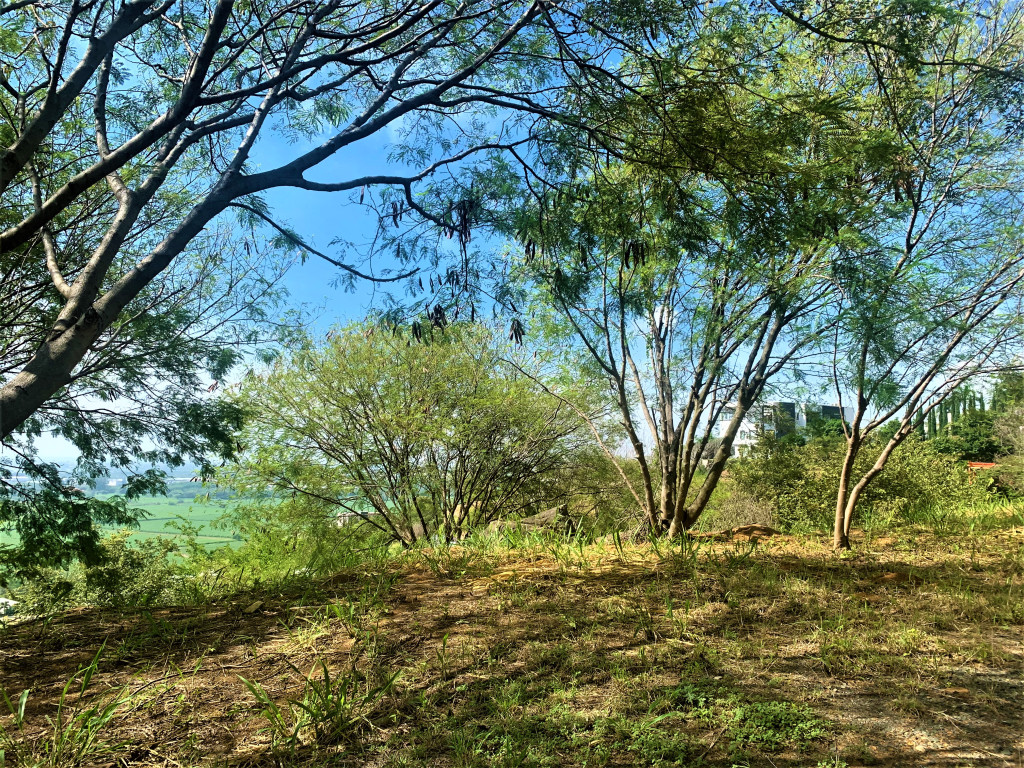 Lote En Venta - Parcelación Campestre Laguna Seca, Yumbo