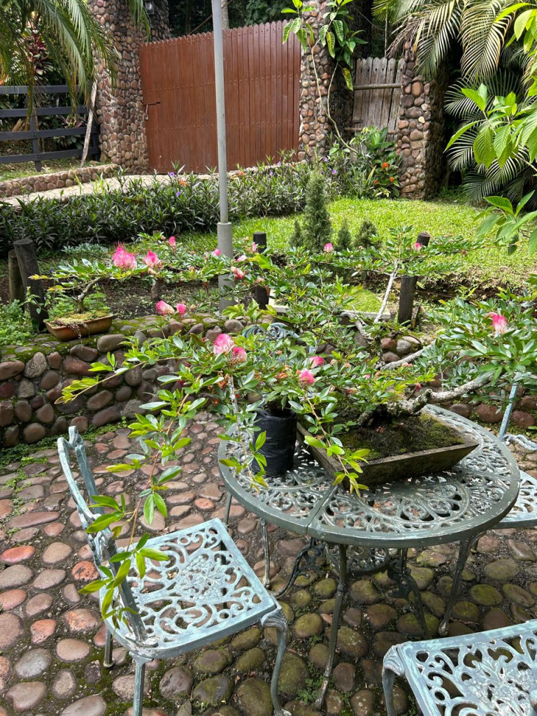 Finca En Venta - Rio Claro, Jamundí