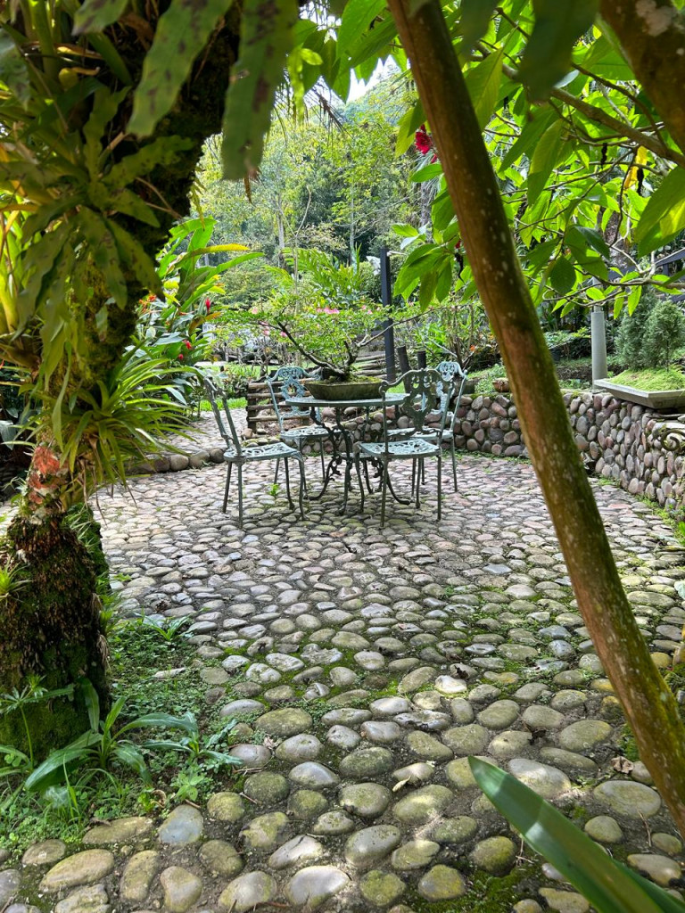 Finca En Venta - Rio Claro, Jamundí