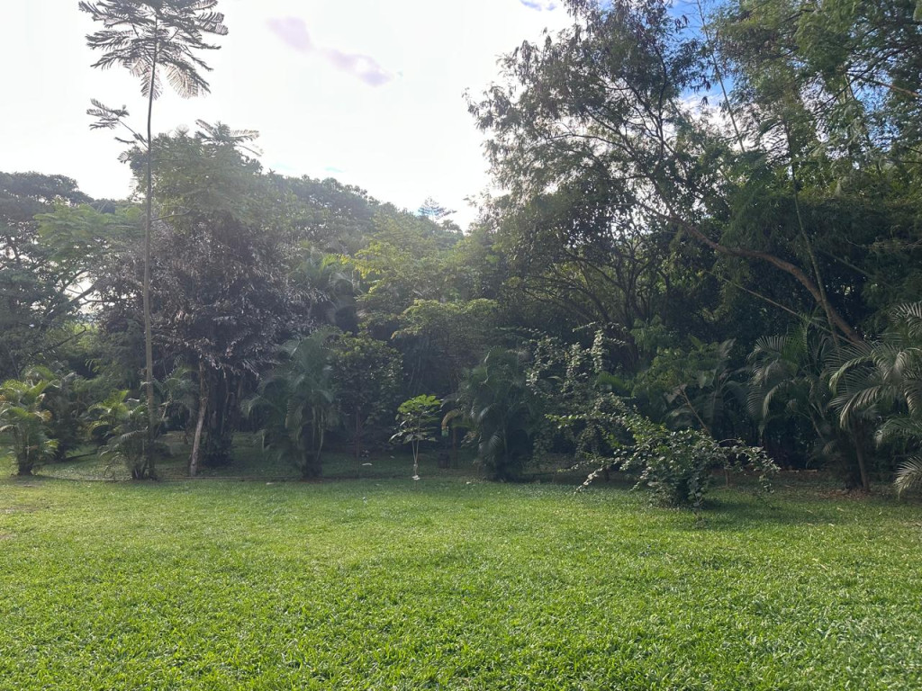 Apartamento En Arriendo - Bosques Deloeste, Cali