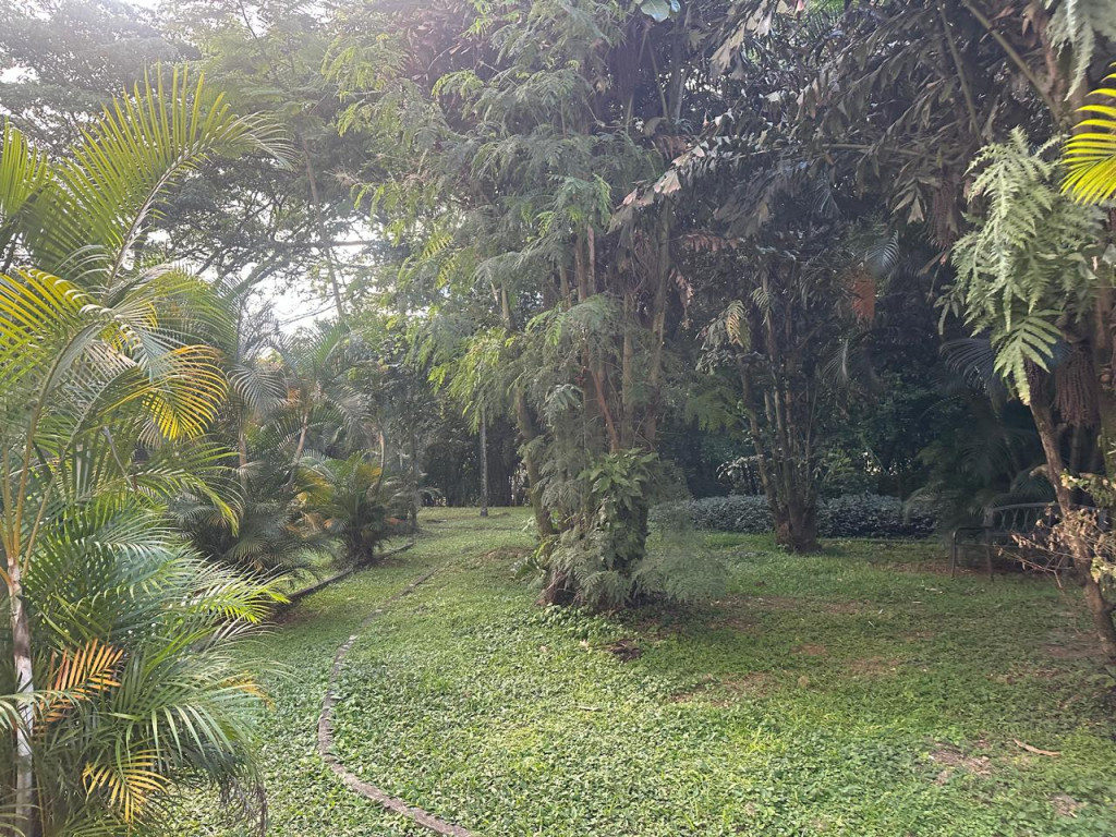 Apartamento En Arriendo - Bosques Deloeste, Cali