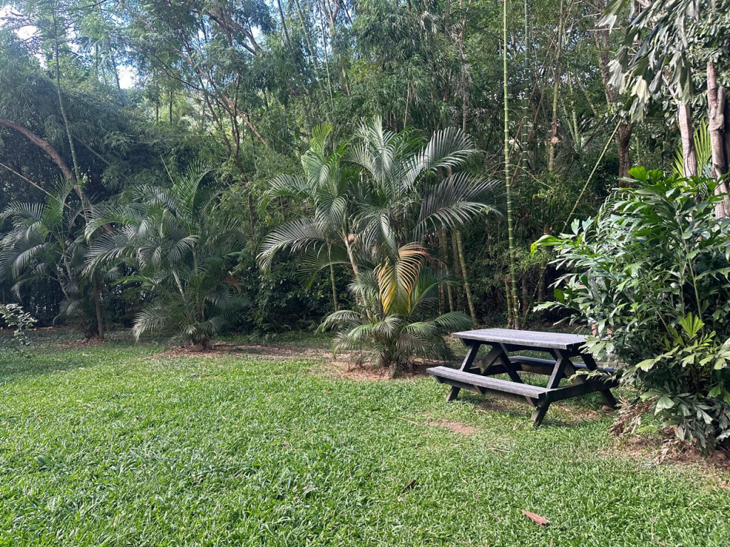 Apartamento En Arriendo - Bosques Deloeste, Cali