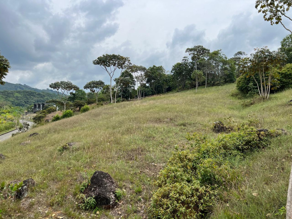 Lote En Venta - Pance, Cali