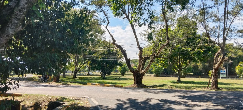 Lote En Venta - Las Mercedes, Jamundí