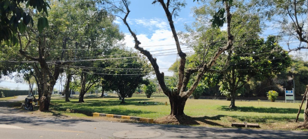 Lote En Venta - Las Mercedes, Jamundí
