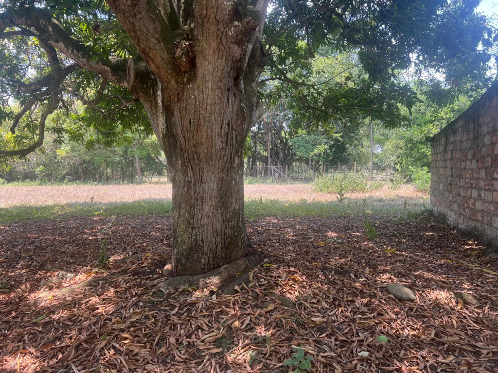 Lote En Venta - Parcelaciones Pance, Cali