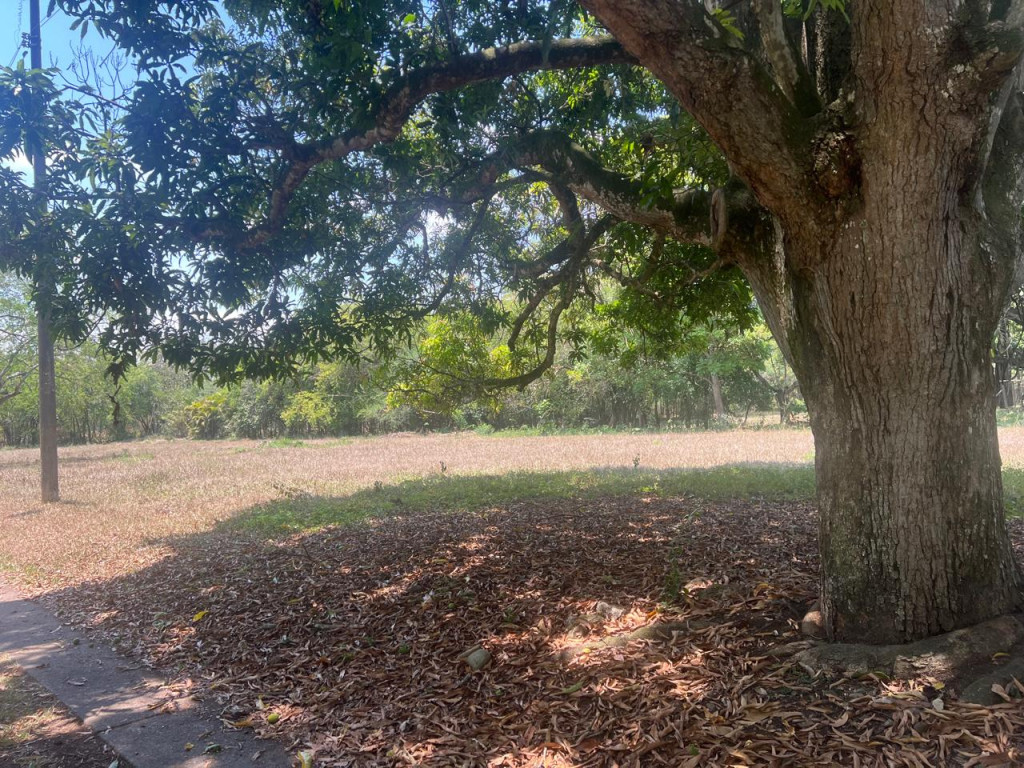 Lote En Venta - Parcelaciones Pance, Cali