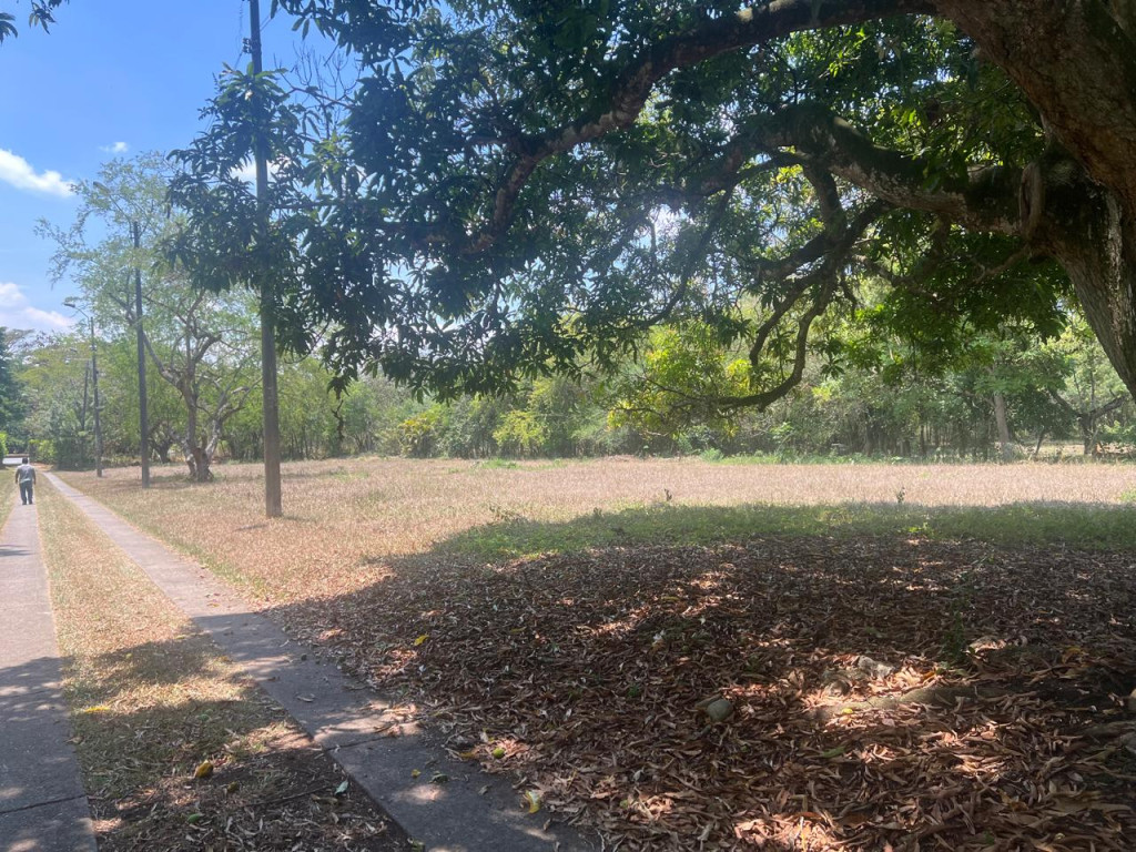 Lote En Venta - Parcelaciones Pance, Cali