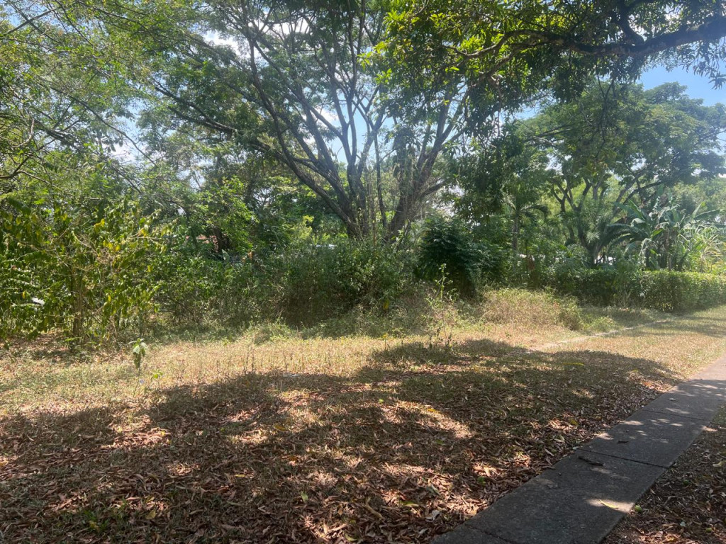 Lote En Venta - Parcelaciones Pance, Cali
