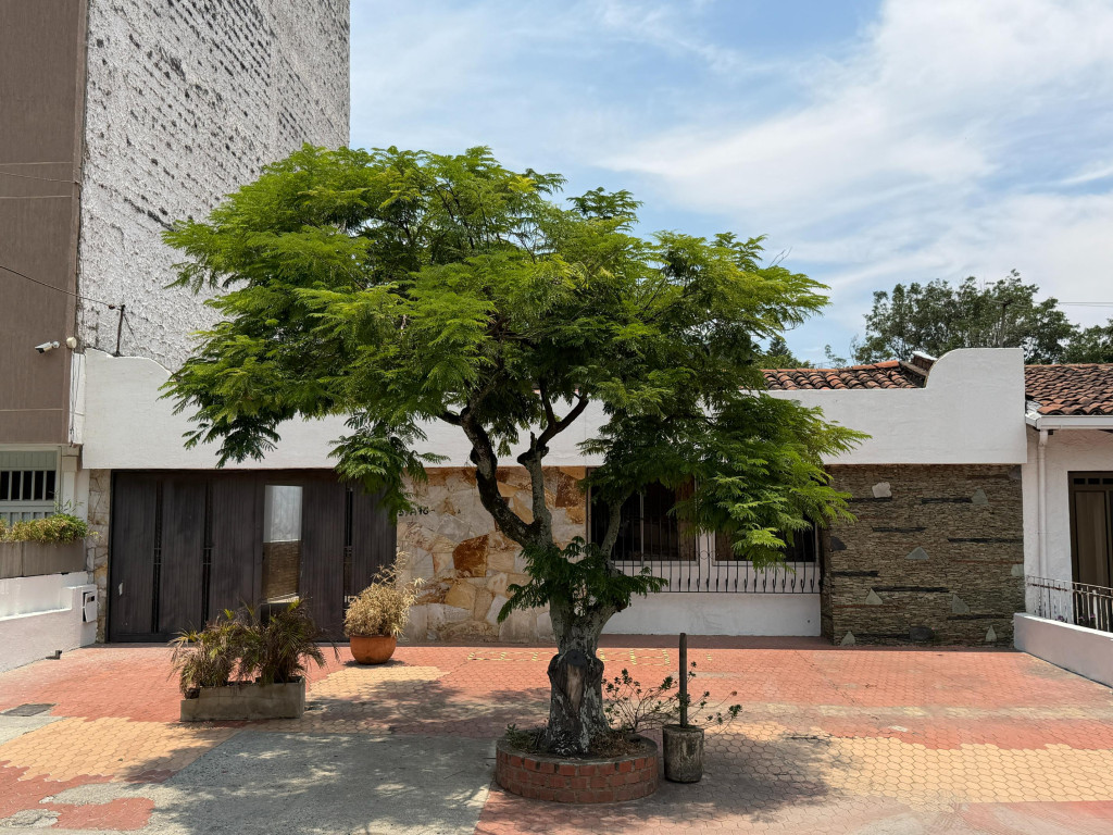 Casas Con Local En Arriendo - Urbanización La Flora, Cali