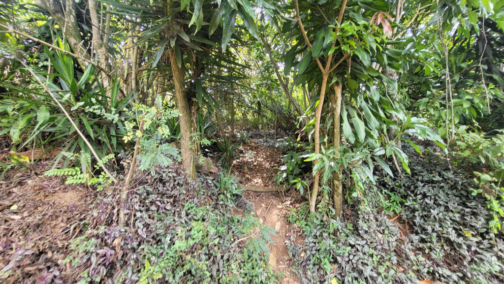 Lote En Venta - Los Andes, Cali