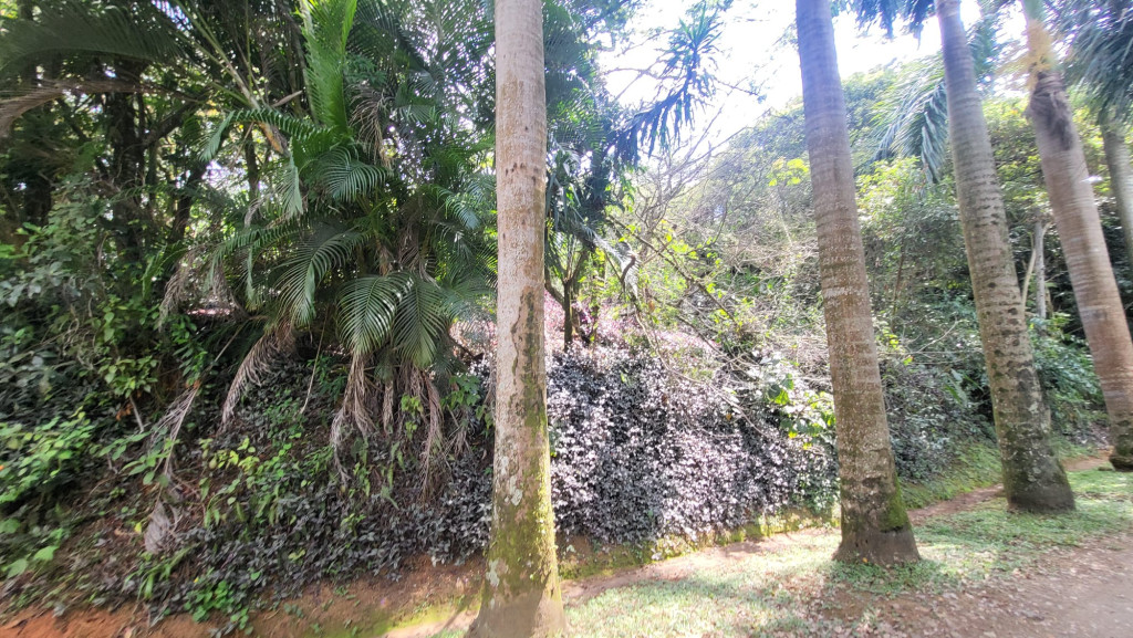 Lote En Venta - Los Andes, Cali
