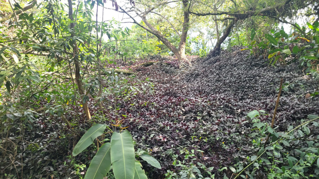 Lote En Venta - Los Andes, Cali