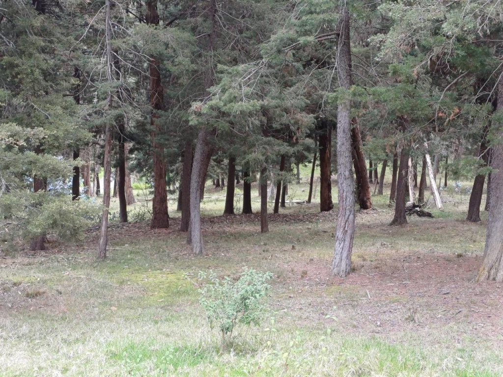 Lote En Venta - Alto De Yerbabuena, Bogotá