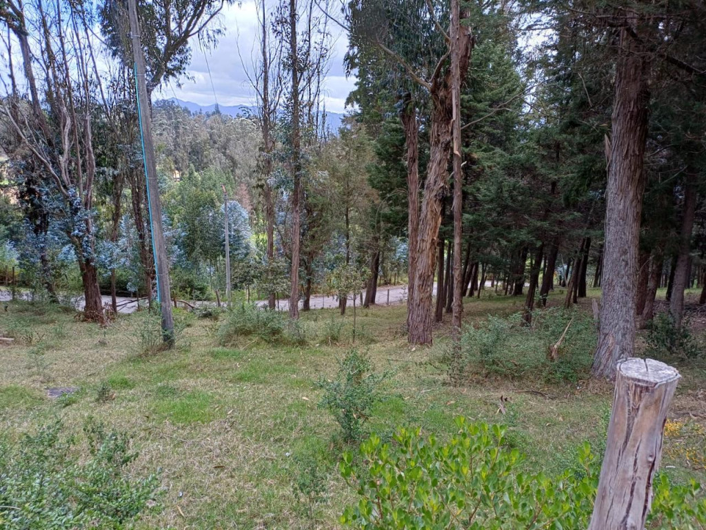 Lote En Venta - Altos De Yerbabuena, Bogotá