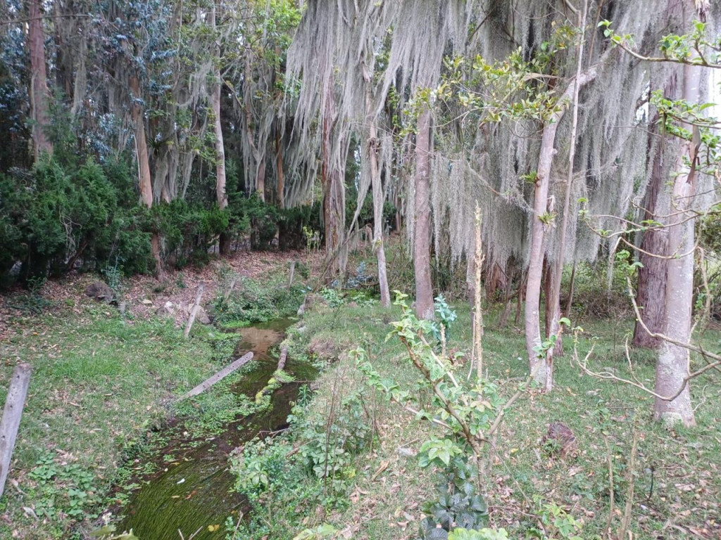 Lote En Venta - Altos De Yerbabuena, Bogotá